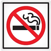 4" X 4" No Smoking Regulatory Sign 1