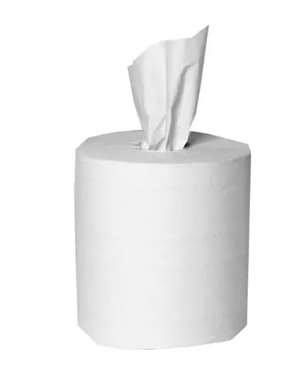 Center-Pull 2-Ply Paper Towel Rolls – 6 Rolls Per Case, Easy-Dispense 1