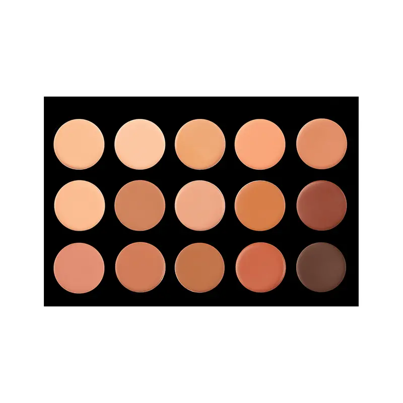 Crown Pro 15-Color Cream Foundation & Contour Palette – Fnd02 1