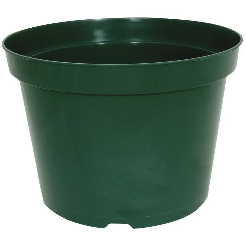 Myers Green Polyethylene Flower Pot – 3.5-Inch Height × 4-Inch Diameter 1